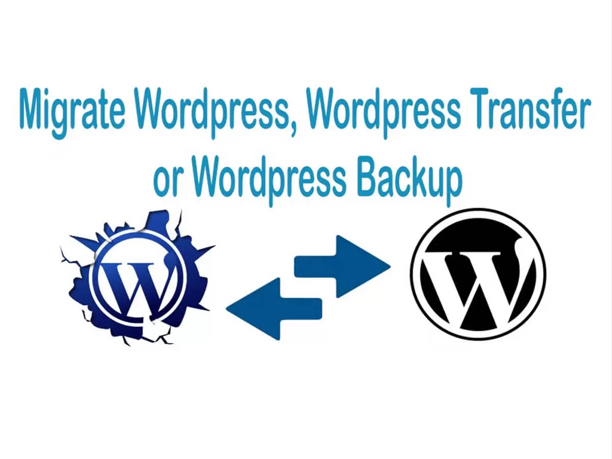 You will get WordPress Backup, Restore and Migration service