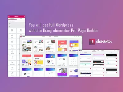 You will get a complete Landing Page using elementor pro page builder